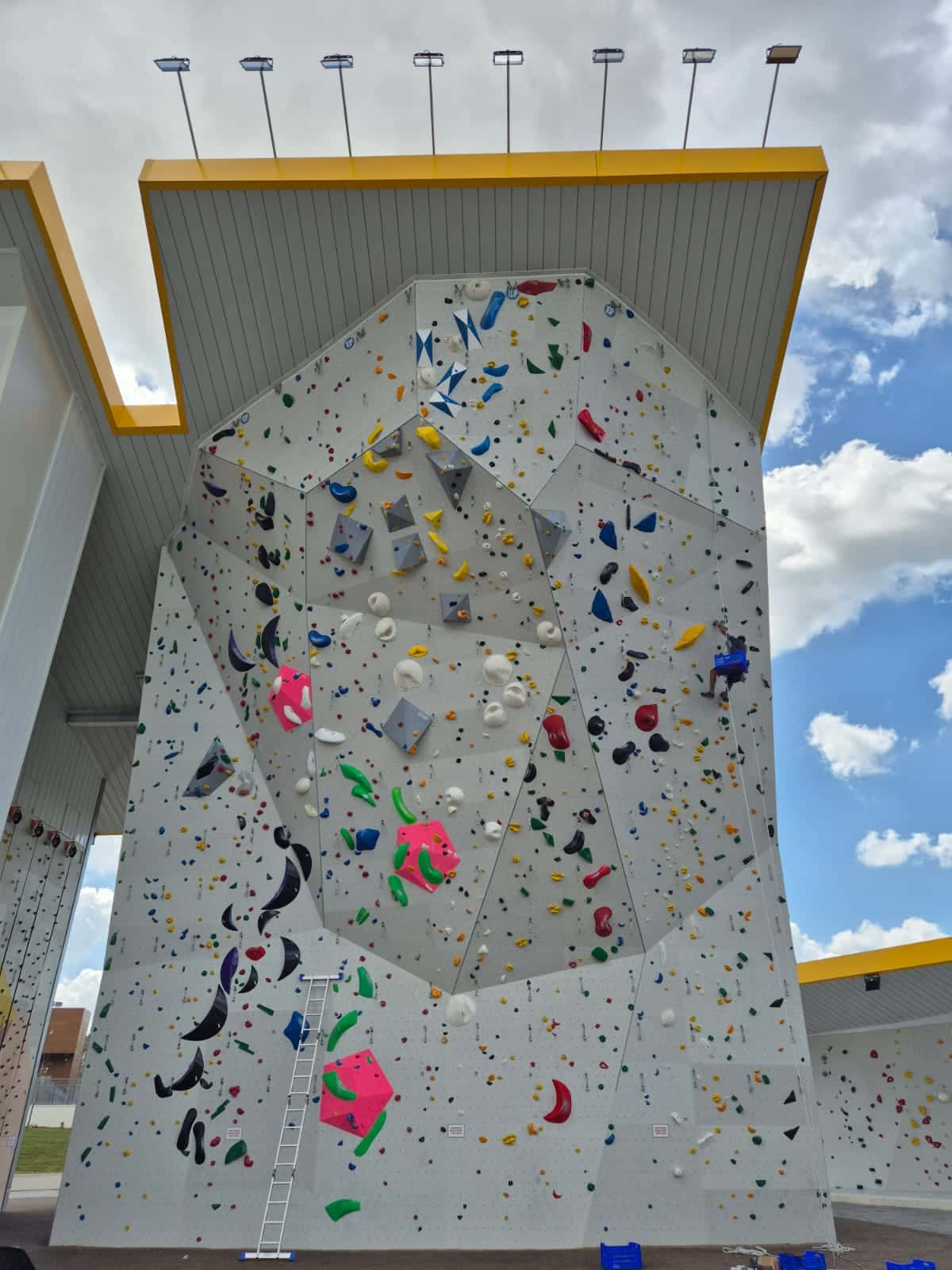The Wall מודיעין